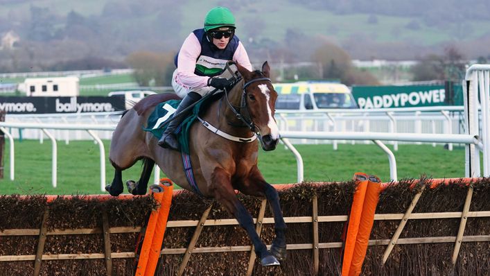 More joy for Willie Mullins after Stormy Ireland won at Cheltenham