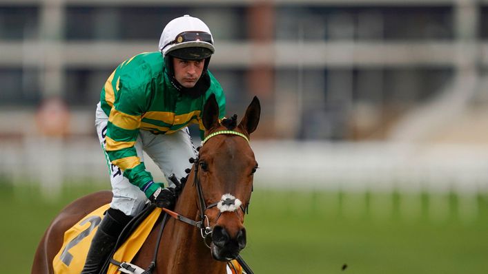 Champ is set to feature in the Long Walk Hurdle at Ascot later this month