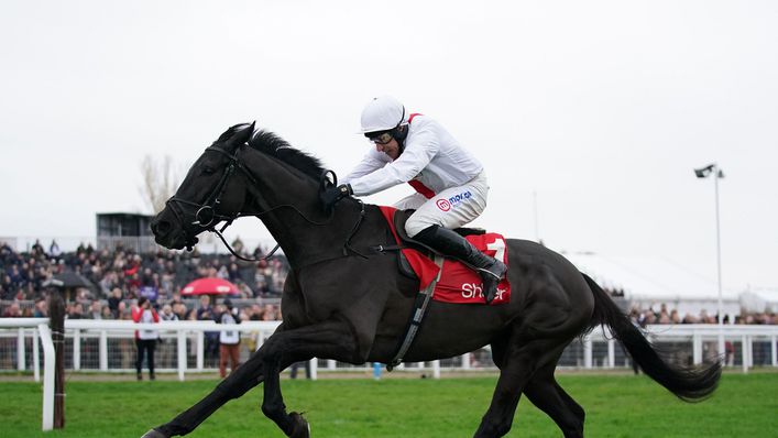 Nube Negra is expected to be one of the frontrunners in the Tingle Creek Chase