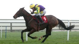Skyace is poised to run at Sandown this weekend