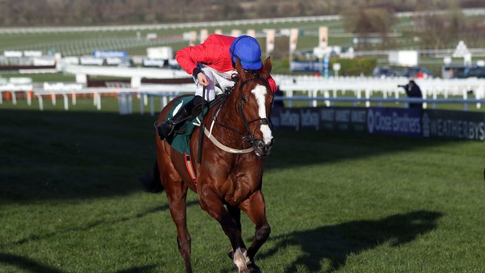 Sir Gerhard is tipped to conquer a competitive Tattersalls Ireland Novice Hurdle