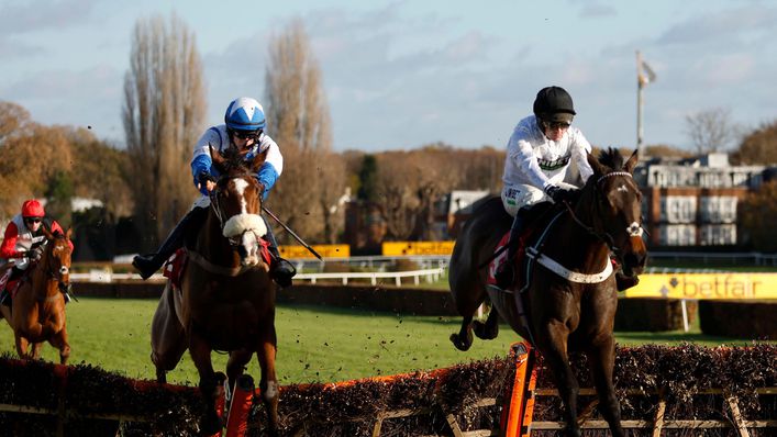 Constitution Hill (right) is the big favourite to win Saturday's Grade 1 Tolworth Novices' Hurdle