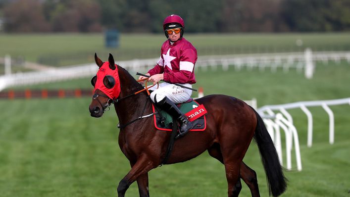 Tiger Roll could be the one to beat again in the Cross Country Chase at Cheltenham