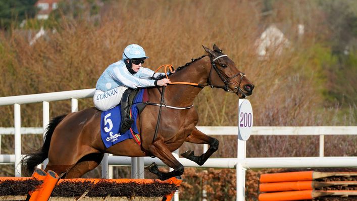 Honeysuckle will be heading into the Champion Hurdle in top form