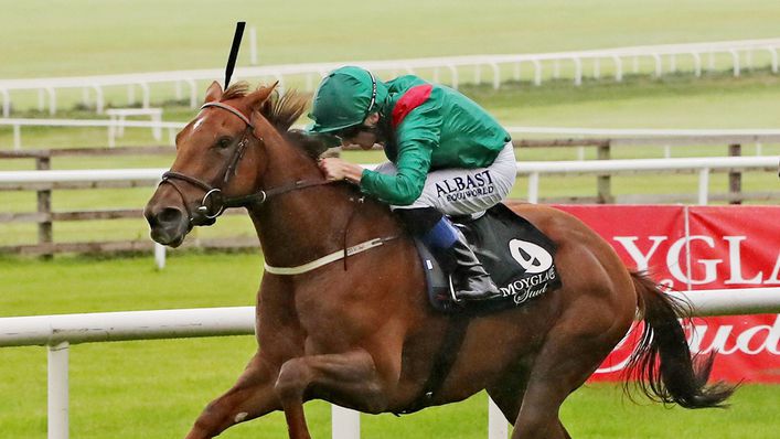 Tarnawa will be hoping to prevail in Saturday's Irish Champion Stakes