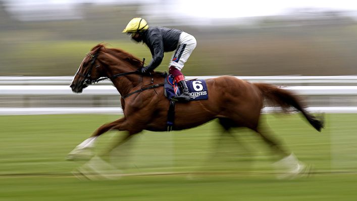 Stradivarius is  in 'good order' for the Goodwood Cup, according to trainer John Gosden