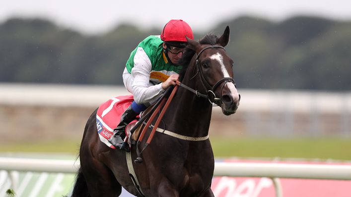 Pyledriver will miss next week's Juddmonte International Stakes at York