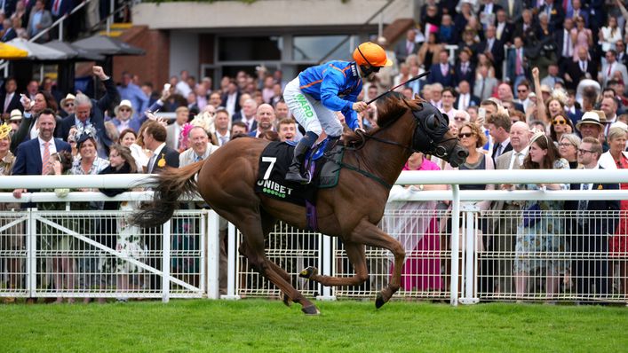 Mr Wagyu will hope to win at Ripon on Saturday after recent success at Glorious Goodwood