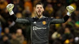 David de Gea made several saves in Manchester United's narrow win over Norwich