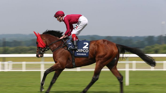 Mishriff will be hoping to claim the spoils in the Champion Stakes at Ascot