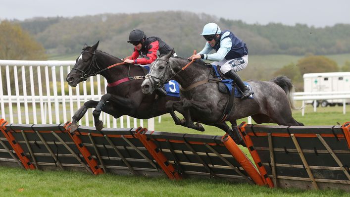 Bellatrixsa is looking for her third win over hurdles