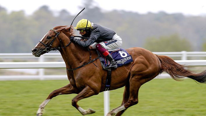 Stradivarius lines up in the Lonsdale Cup at York on Friday