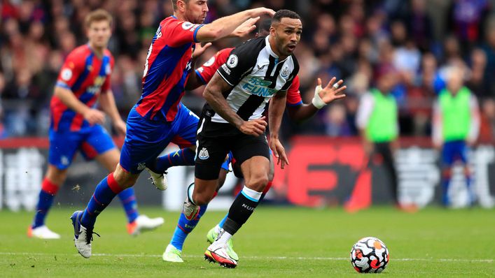 Callum Wilson is key to Newcastle's chances of staying up