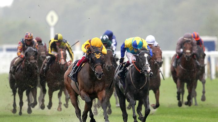 La Petite Coco is being readied for a run at Ascot racecourse