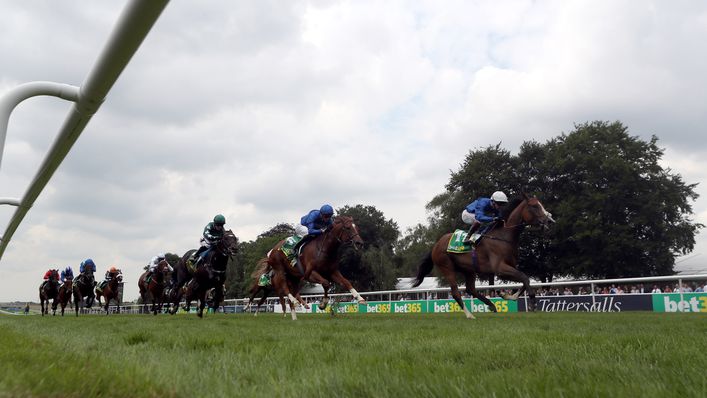 Live Your Dream (right) will hope to line up in the Ebor on Saturday