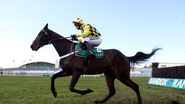 Shishkin returns to the track at Ascot this weekend