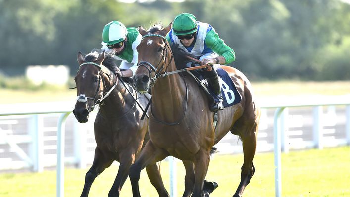 Kettle Hill could secure a second-straight victory when he runs at Goodwood on Wednesday