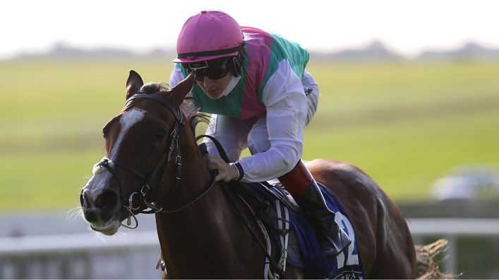 Sacred Bridge is the favourite to land the Cheveley Park Stakes at Newmarket this weekend