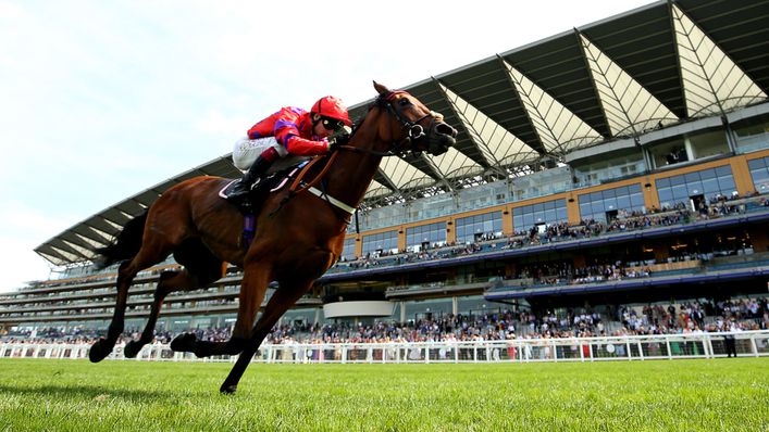 Dreamloper enjoyed an impressive win at Ascot