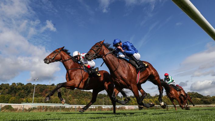 Irish Legend (left) looking to maintain unbeaten record on the all-weather