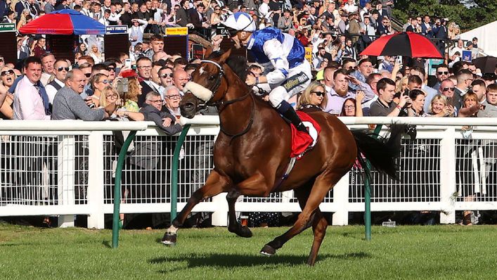 Bielsa under Kevin Stott races home to win the Virgin Bet Ayr Gold Cup