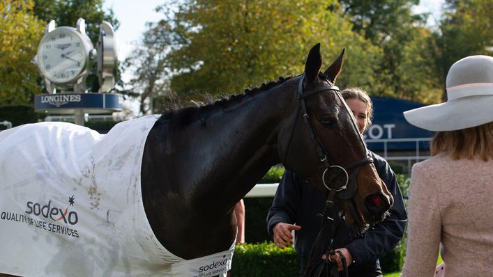 O'Neill says there are no immediate plans for Soaring Glory after his poor showing at Newbury