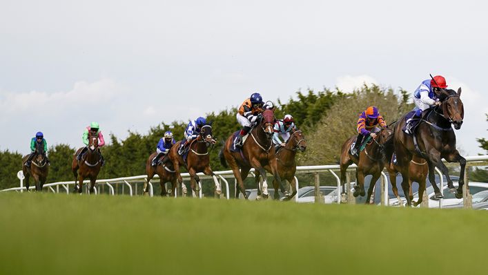 Dawn View (right) is looking for a quick double after winning at Brighton on Friday.